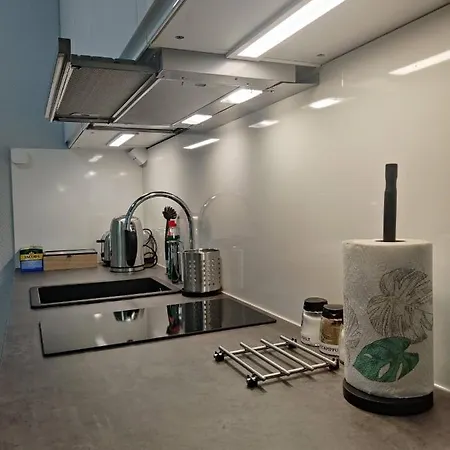 Alexi - Newly Renovated In The Heart Of The Near To Railway Station And Nokia Arena Apartment