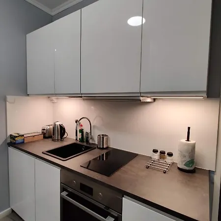 Alexi - Newly Renovated In The Heart Of The Near To Railway Station And Nokia Arena Apartment Tampere